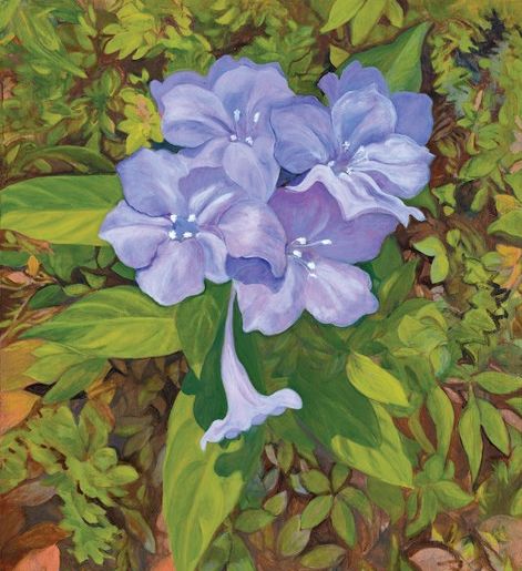 Wild Petunia 24 x 20